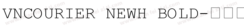VnCourier NewH Bold字体转换